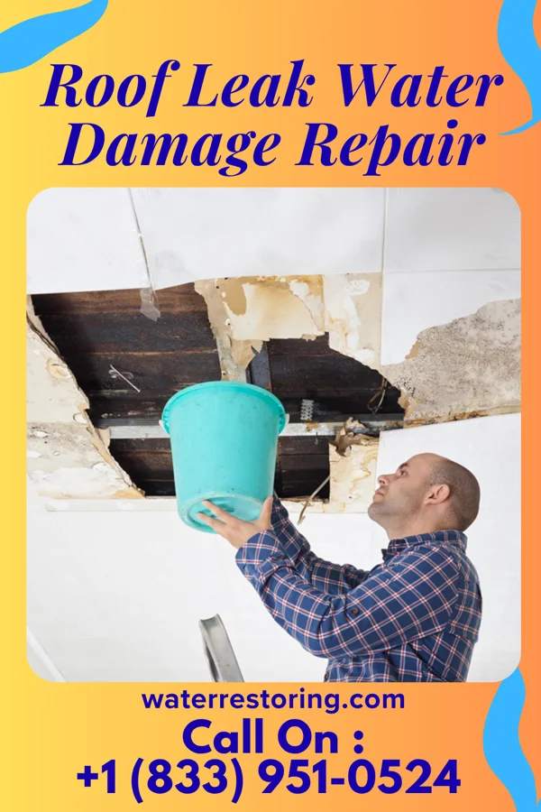 Roof Leak Water Damage Repair in Okay, OK