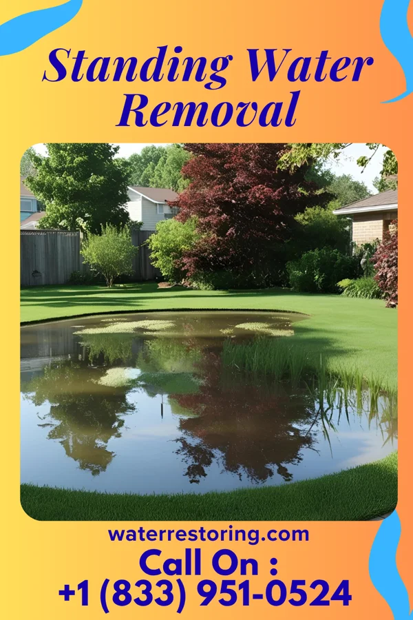 Standing Water Removal in Okay, OK